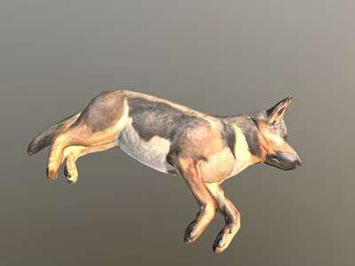 Realistic 3D Rendered Brown White Dog In Dynamic Running Pose 3d model