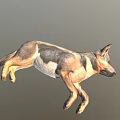 Realistic 3D Rendered Brown White Dog In Dynamic Running Pose 3d model