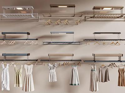 Modern Wall Mounted Metal Clothes Hangers With Hanging Dresses And Wardrobe Design 3d model