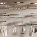 Modern Wall Mounted Metal Clothes Hangers With Hanging Dresses And Wardrobe Design
