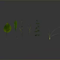 Various Green Plants With Different Leaves And Grass Arranged On Gray Background With Ground Reflection