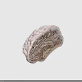 3D Rendered Human Brain Anatomical Model With Colored Markers On Surface Structure