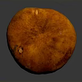 Fresh Edible Mushroom With Red Brown Cap And Light Beige Stem On Dark Glossy Surface