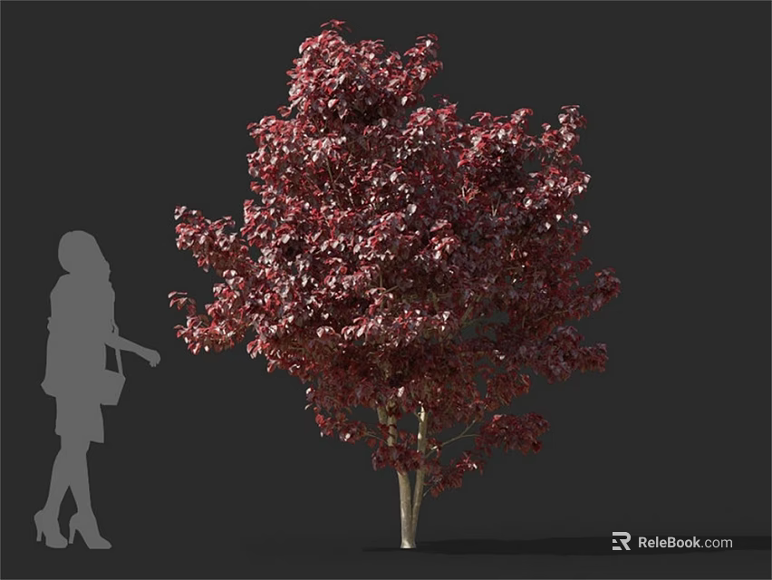 Lush Arbor With Dark Red Foliage Standing Next To Human Silhouette 3d model 