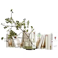 Decorative Ornament Set With Books Glass Vase And Green Plant Branch For Home Decor