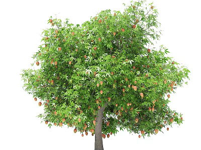 Fresh Healthy Arbor With Lush Green Leaves And Abundant Ripe Fruits 3d model