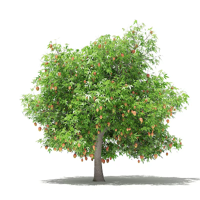Fresh Healthy Arbor With Lush Green Leaves And Abundant Ripe Fruits 3d model
