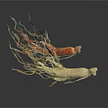 Fresh Red and White Ginseng Roots with Fibrous Tails on White Background