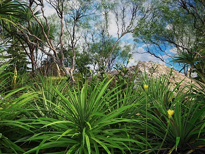Lush Green Long Leaf Plants With Yellow Flowers Surrounded By Trees Rocks And Cloudy Sky 3d model