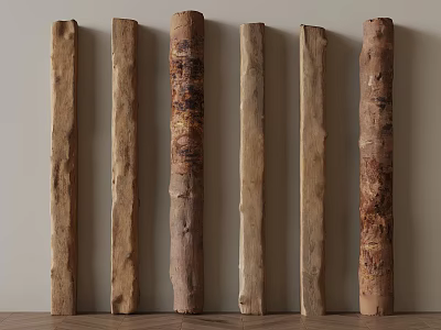 Natural Wood Logs Arranged in Row With Different Textures Colors and Light Background 3d model