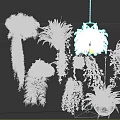 Various Types Of Decorative Hanging Green Plants With Trailing Leaves For Indoor Decor