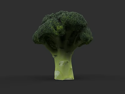 Detailed Vibrant Green Broccoli Plant Illustration With Fresh Florets And Stem 3d model