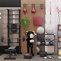 Complete Gym Sports Equipment Including Barbell Bench Exercise Balls Punching Bags Jump Ropes And Dumbbells