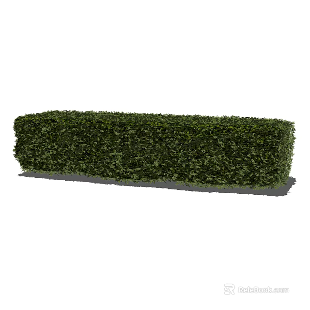 Perfect Well Trimmed Rectangular Green Hedge For Outdoor Garden Landscaping 3d model 