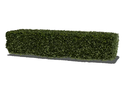 Perfect Well Trimmed Rectangular Green Hedge For Outdoor Garden Landscaping 3d model