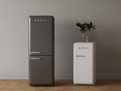 Vintage Smeg Refrigerators Grey And White With Green Plant On Wooden Floor 3d model