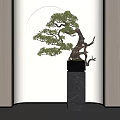 Elegant Bonsai Plant with Twisted Branches and Green Leaves on Black Marble Stand