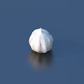 Single Fresh Whole Garlic Bulb on Dark Background with Reflection 3d model