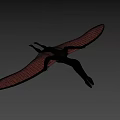 Dark Colored 3D Pterosaur Model With Spread Wings And Shadow