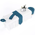 White Massage Chair With Blue Straps Cushions And Decorative Plant Tray