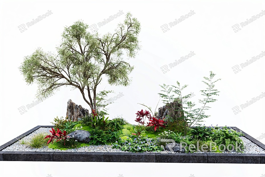 Courtyard micro-terrain plant landscape landscaping moss courtyard sketch landscape stone fern model