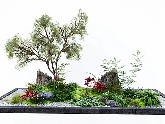 Courtyard micro-terrain plant landscape landscaping moss courtyard sketch landscape stone fern 3d model