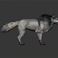 Realistic 3D Wolf Character With Fluffy Gray And White Fur Standing Pose 3d model