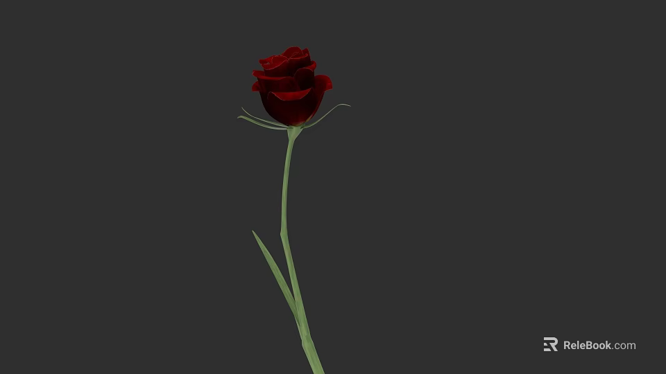 Beautiful Red Rose with Green Stem and Leaves on Gray Background 3d model 