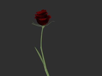 Beautiful Red Rose with Green Stem and Leaves on Gray Background 3d model