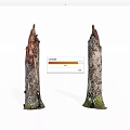 Two Rustic Wood Stumps With Bark Stone Base And Green Moss