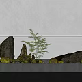 Tranquil Indoor Landscape With Natural Stones Green Plants And Moss On Gray Base