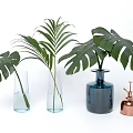 Transparent and Blue Glass Vases with Monstera and Palm Leaves on White Background