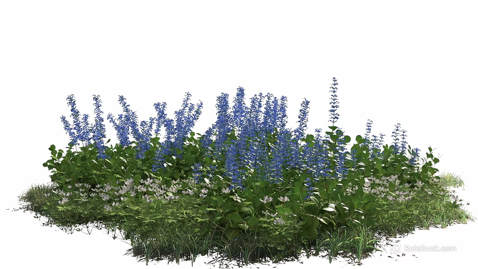 Vibrant Blue Flowers and White Blooms with Lush Green Foliage and Grass 3d model 