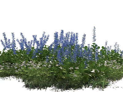 Vibrant Blue Flowers and White Blooms with Lush Green Foliage and Grass 3d model