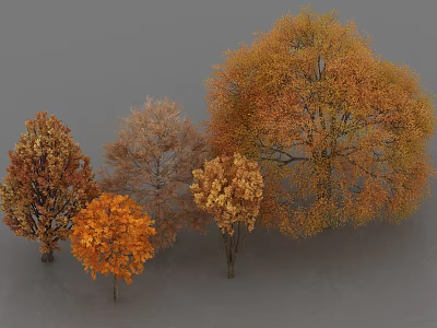 Autumn Trees With Orange Yellow Leaves And Different Sizes In Scenic Landscape 3d model