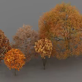 Autumn Trees With Orange Yellow Leaves And Different Sizes In Scenic Landscape