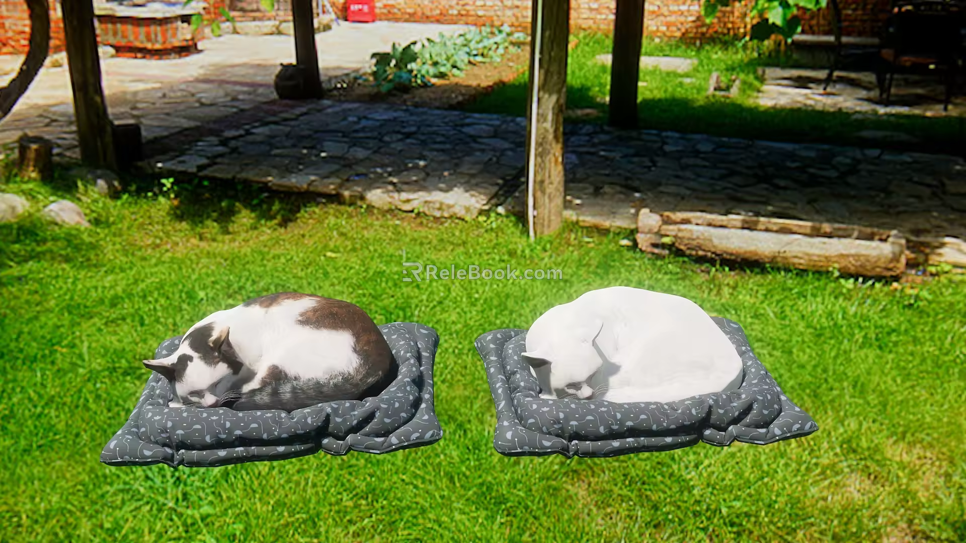 Two kittens Modern Cat 3d model