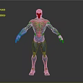 Detailed SpiderMan 3D Model Costume Red Blue Suit With Muscular Standing Pose