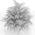 Lush Green Potted Palm Plant with Dense Foliage in Gray Container for Indoor Decor