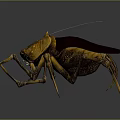 3D Fantasy Insect Character Design With Yellow Brown Exoskeleton And Long Legs