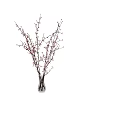 Clear Glass Vase With Decorative Flowering Branches And Pink Blooms for Home Decoration