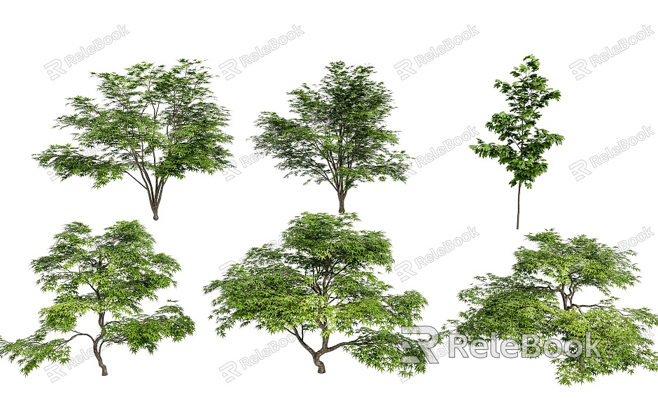 Outdoor Acer maple tree combination courtyard garden villa street tree landscape tree green plant tree combination model