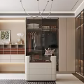 Modern Walk in Wardrobe Design With Glass Doors Storage Cabinets And Decorative Lighting