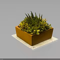 Healthy Green Succulent Plants In Orange Rectangular Planter With Mixed Foliage