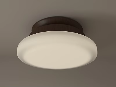 Simple Modern Ceiling Light With White Lampshade And Dark Wooden Base 3d model