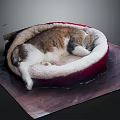 Cozy Sleeping Cat Resting In Red Pet Bed On Wooden Surface