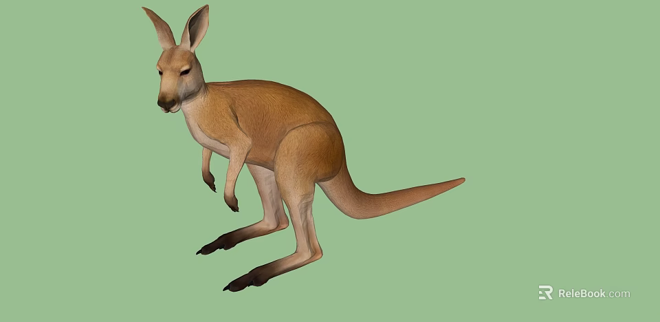 Brown Reptile Standing on Green Background with Long Tail and Muscular Legs 3d model 