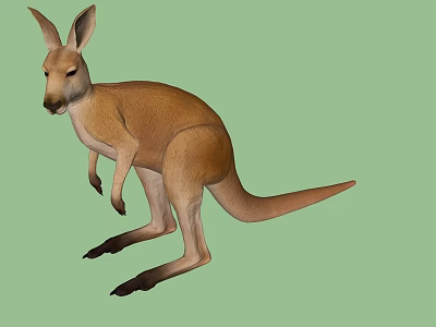 Brown Reptile Standing on Green Background with Long Tail and Muscular Legs 3d model