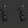 Elegant Black Earrings With Long Tassel And Gold Decorative Details