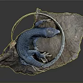 Blue Lizard With Coiled Body And Tail Displayed On Natural Rock Slab